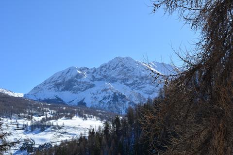 Cima del Bosco